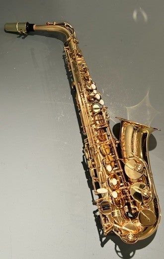 Trevor James The Horn Revolution alto saxophone (pre-owned) | Dots