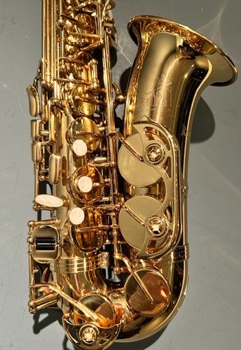 Trevor James The Horn Revolution alto saxophone (pre-owned) | Dots