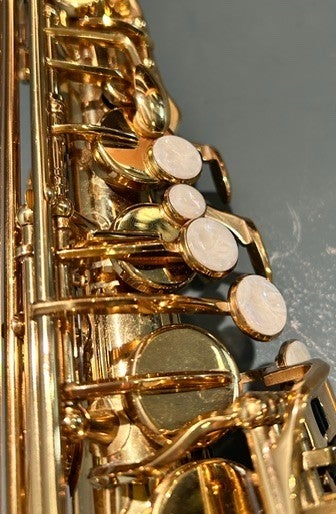 Trevor James The Horn Revolution alto saxophone (pre-owned) | Dots