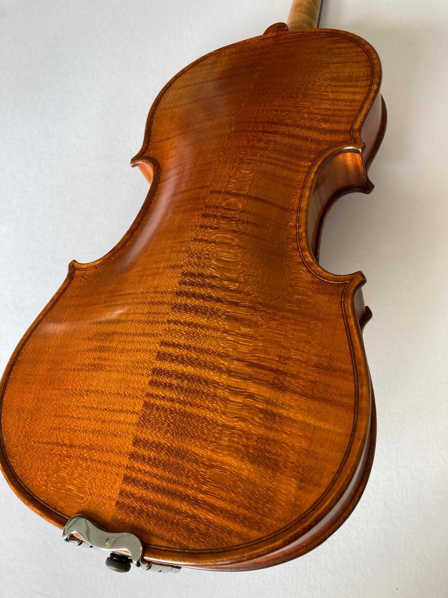 Gliga Gama violin outfit